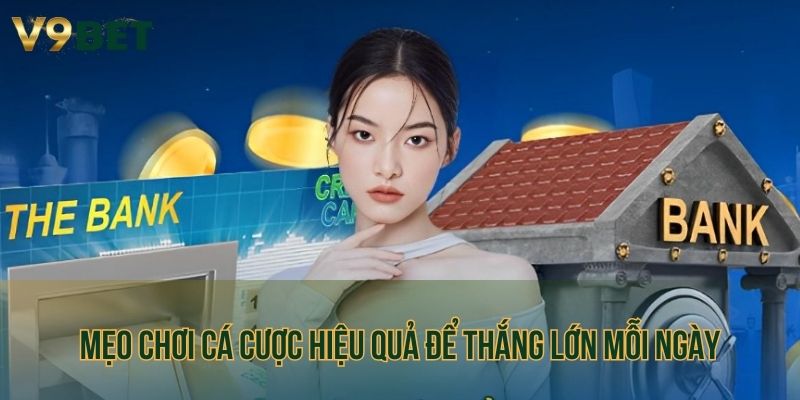 Mẹo chơi cá cược hiệu quả để thắng lớn mỗi ngày